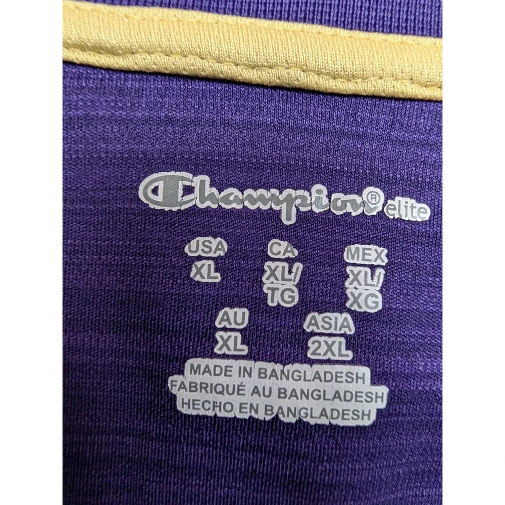 Mens‎ Champion Polo Shirt  Size XL Purple Gold Stripe Huskies